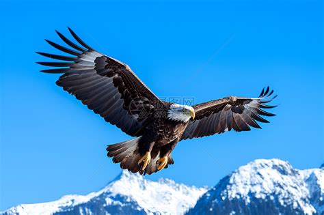 风水图图片_招财带来好运,第4张 风水图图片_招财带来好运,第4张